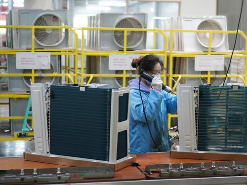 穩(wěn)字當(dāng)頭抓落實(shí)，增品種、提品質(zhì)、創(chuàng)品牌 三措并舉驅(qū)動(dòng)家電產(chǎn)業(yè)高質(zhì)量發(fā)展